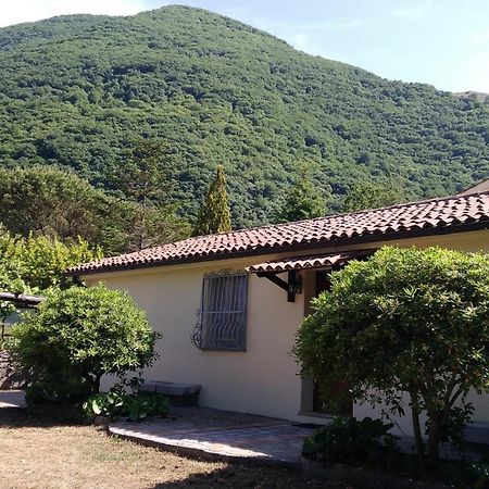 Agriturismo Collevento Trecchina Ngoại thất bức ảnh