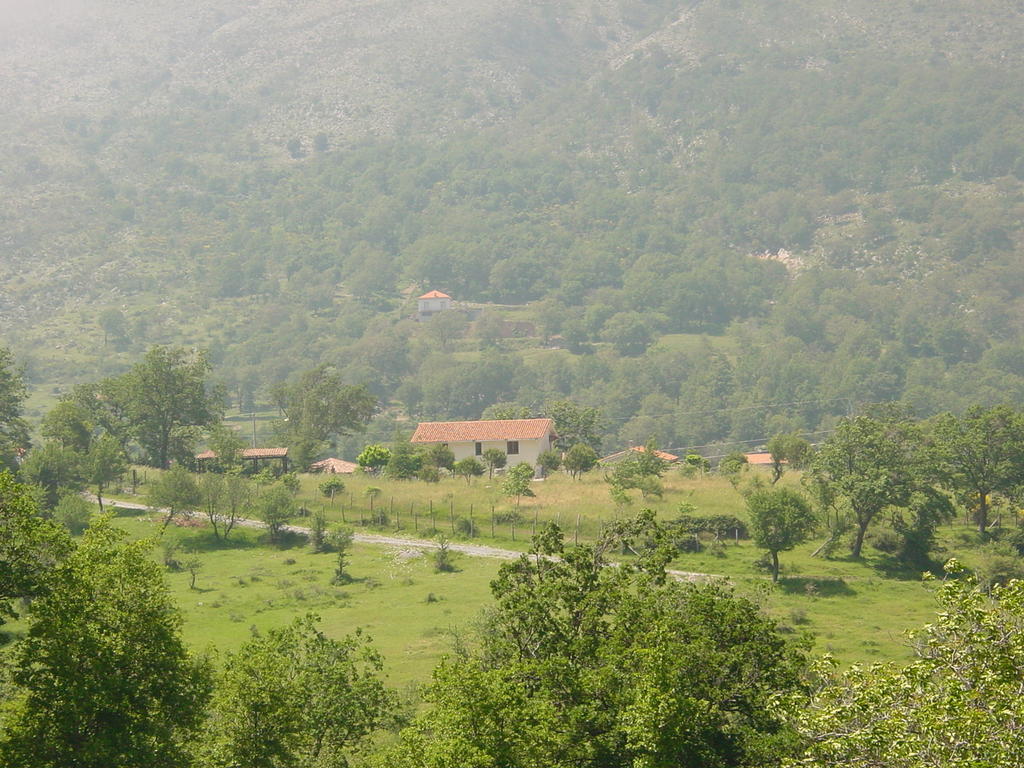 Agriturismo Collevento Trecchina Ngoại thất bức ảnh
