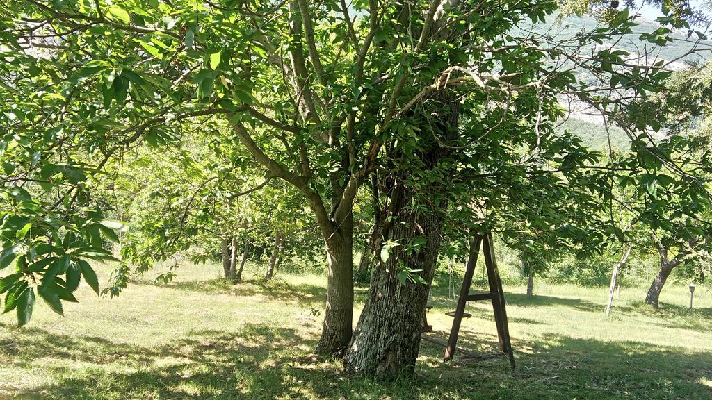 Agriturismo Collevento Trecchina Ngoại thất bức ảnh
