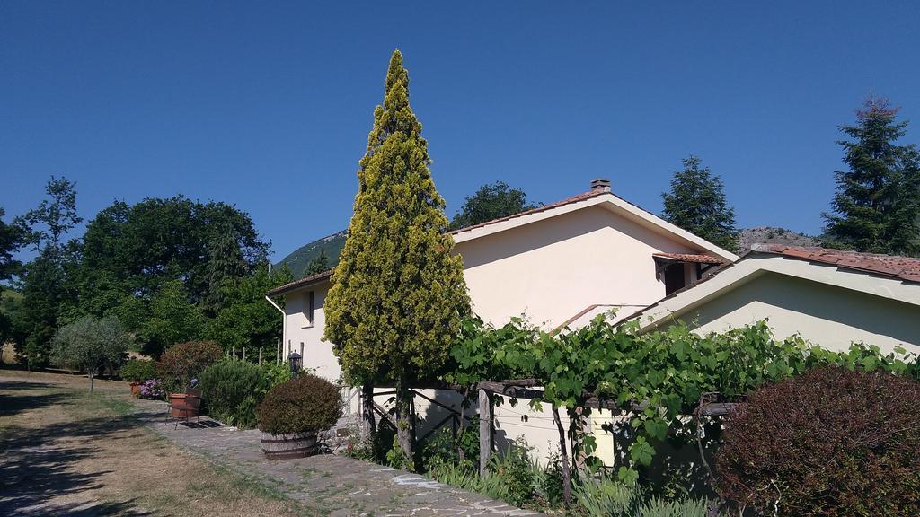 Agriturismo Collevento Trecchina Ngoại thất bức ảnh