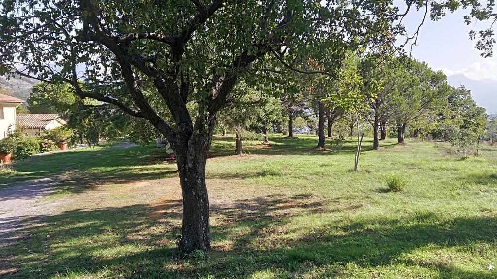 Agriturismo Collevento Trecchina Ngoại thất bức ảnh